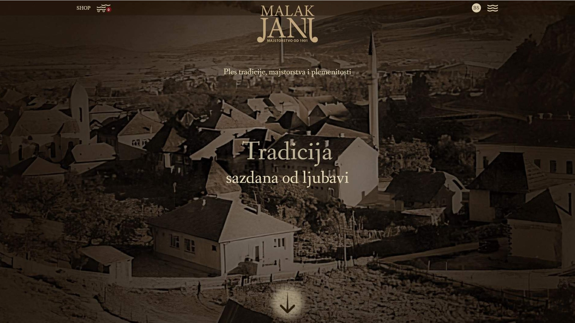 Website for "Malak Janj"