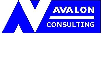 Avalon Consulting - website