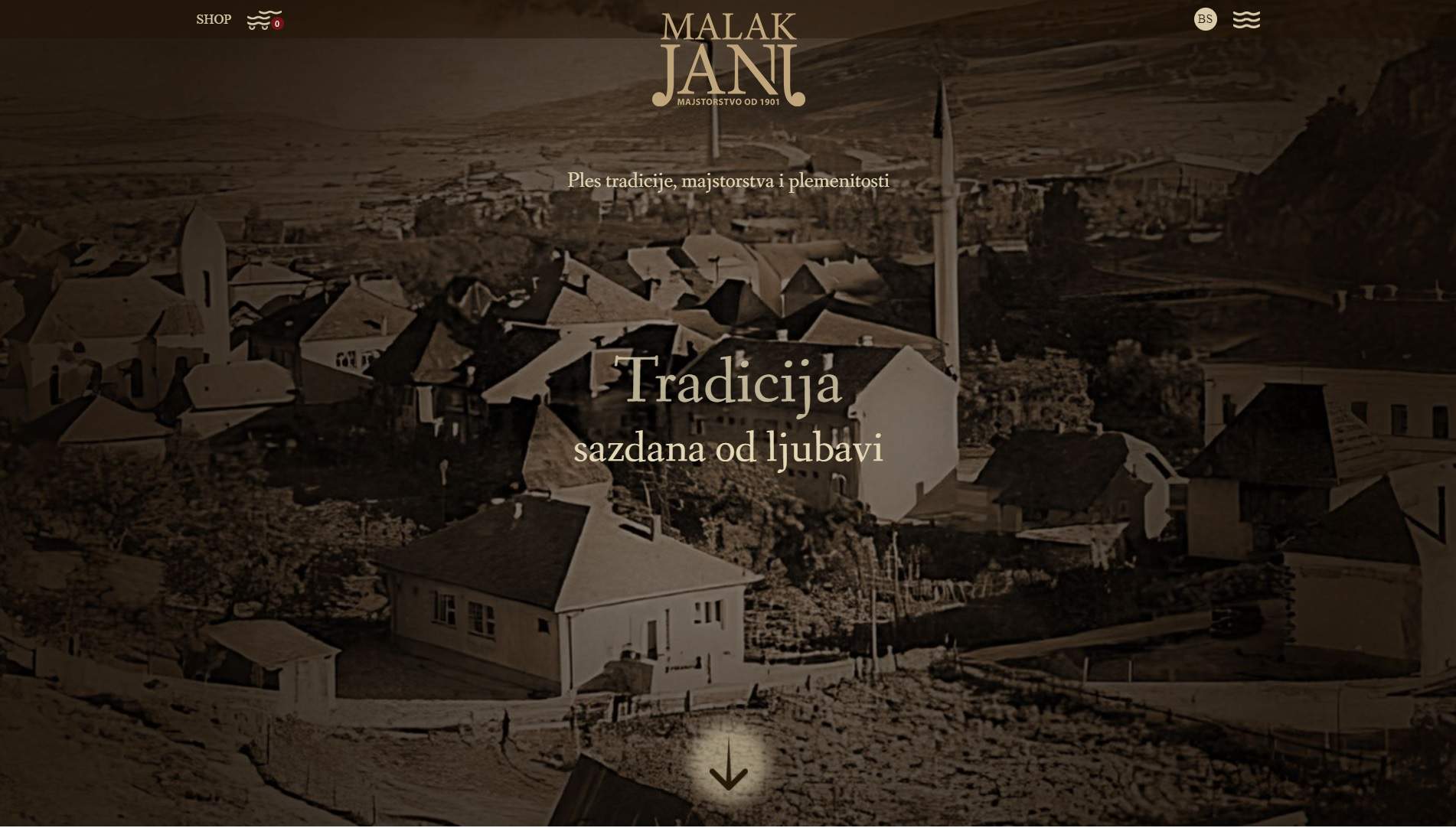 Website for "Malak Janj"